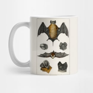 Vintage Bat Mug